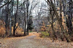 entrance-to-stepp-cemetery-publicdomainpictures