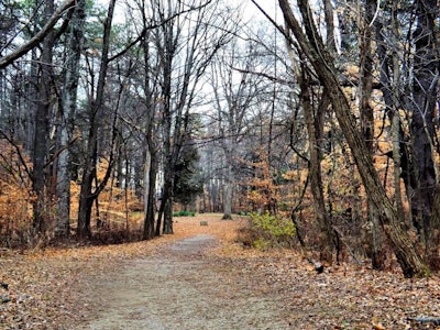 Photo: Public Domain Pictures