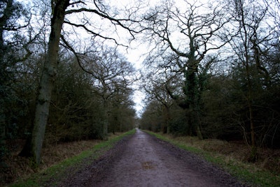 Photo: John+Elaine Chesterton/Flickr