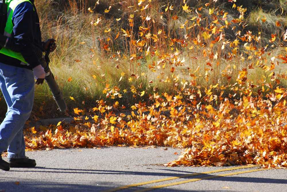 landscaper-blowing-leaves