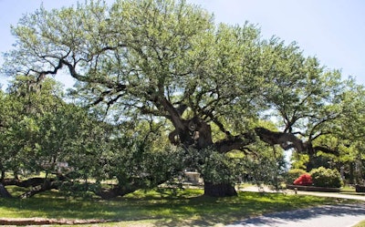 Photo: liz west/Flickr