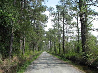 Photo: Life in Mathews