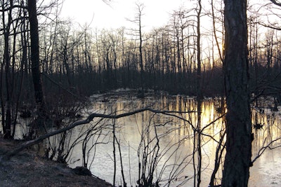 Photo: Matt Swern/Flickr