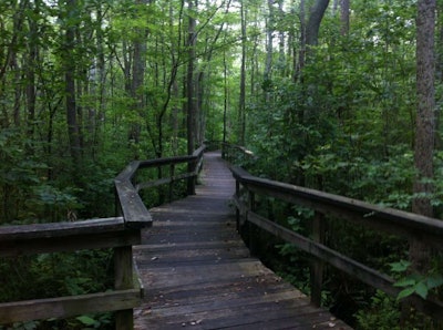 Photo: Chesapeake Ghost Walks