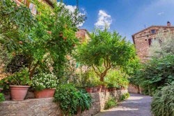 Mediterranean-garden