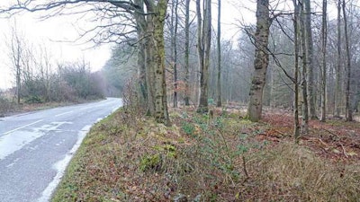 Photo: Jonathan Billinger