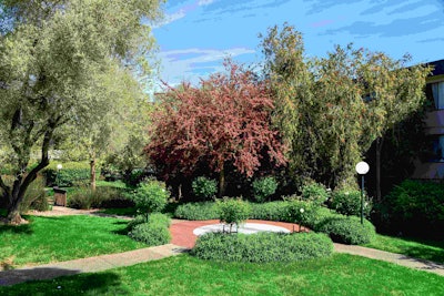Shelter Creek COA has many roses and rose trees that required hand pruning. Photo: Gachina Landscape Management