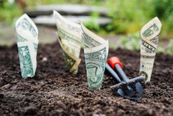 reap-what-you-sow-money