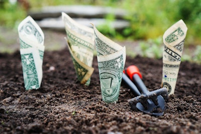 planting money