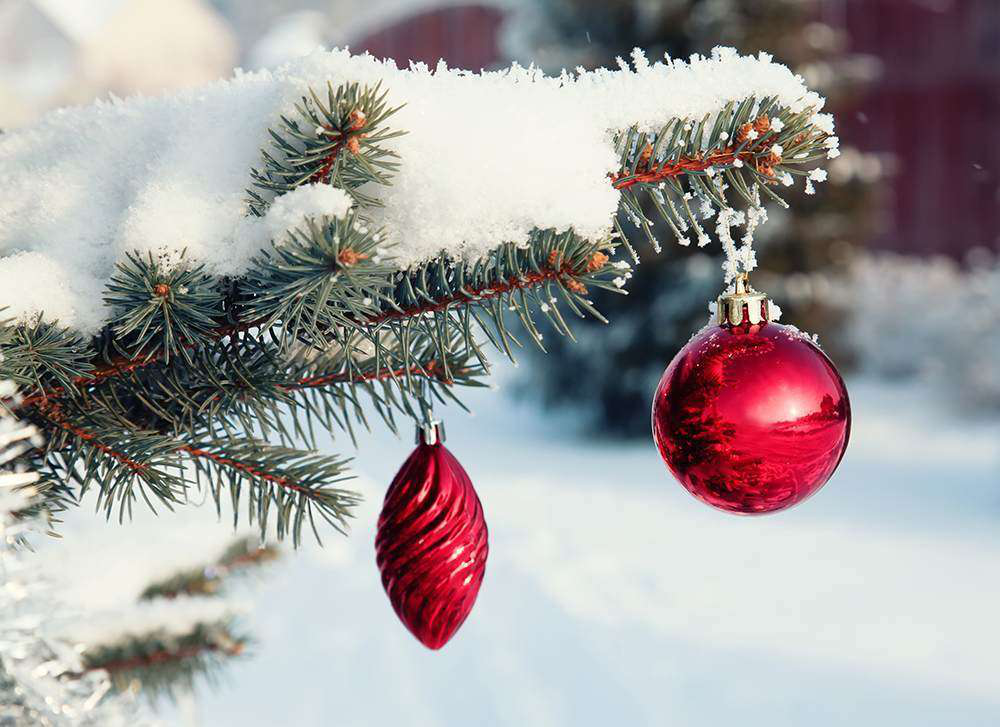 outdoor-tree-red-ornaments