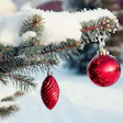 outdoor-tree-red-ornaments