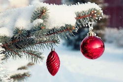 outdoor-tree-red-ornaments