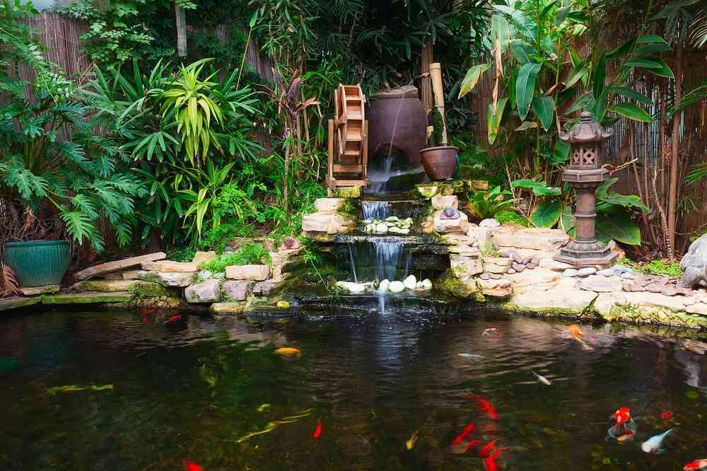 backyard-pond