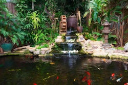 backyard-pond