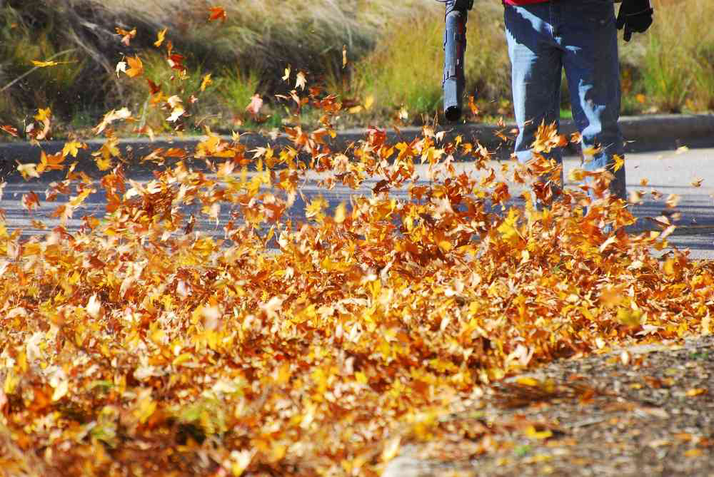 leaf-blower