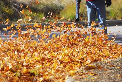 leaves blowing from leaf blower