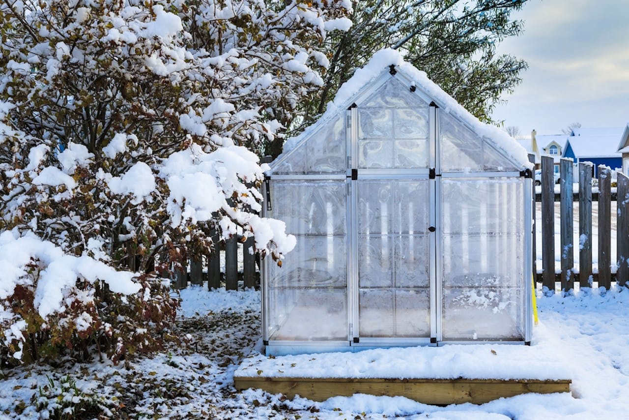 snowy greenhouse