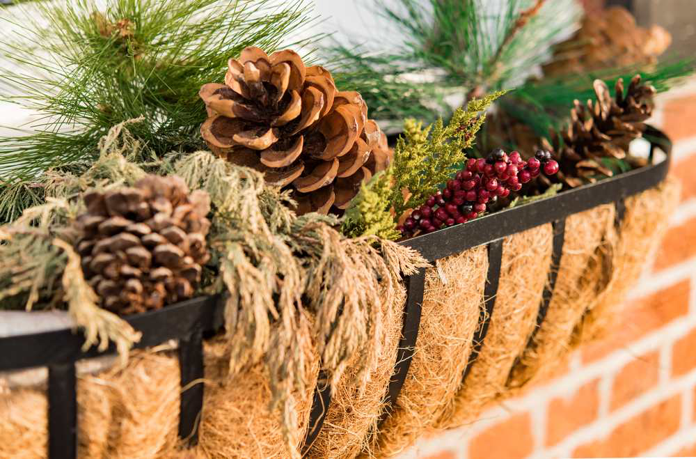 winter-container-arrangements