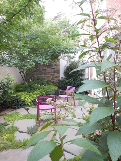 Small gardens can still be useful spaces if designed properly. Photo: Toni Ann Flanigan, Philadelphia Garden, Inc.