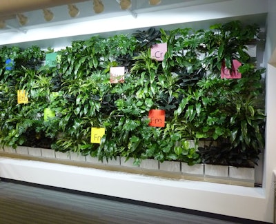 Photo: LiveWall