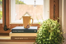 houseplant-with-books