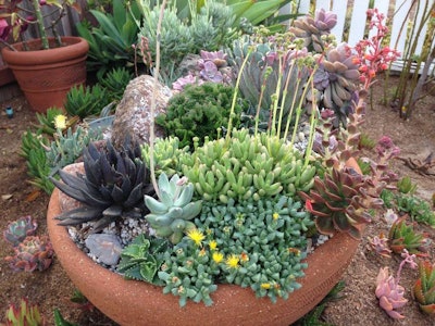 Photo: Reggie1/Flickr