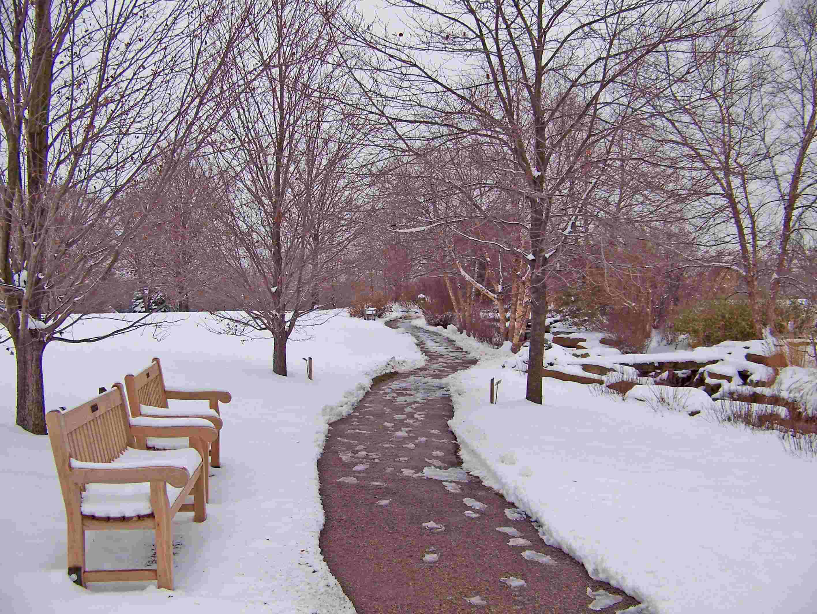 tree-snow-winter-bench-sidewalk-frost-ice-weather-season-trees-blizzard-freezing