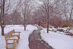 tree-snow-winter-bench-sidewalk-frost-ice-weather-season-trees-blizzard-freezing