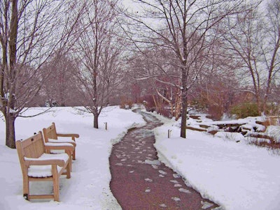 snowy park