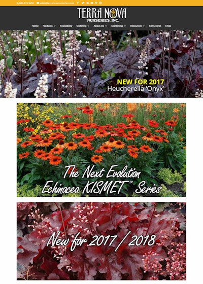 Photo: Terra Nova Nurseries