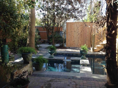 Photo: Diane Jones Allen