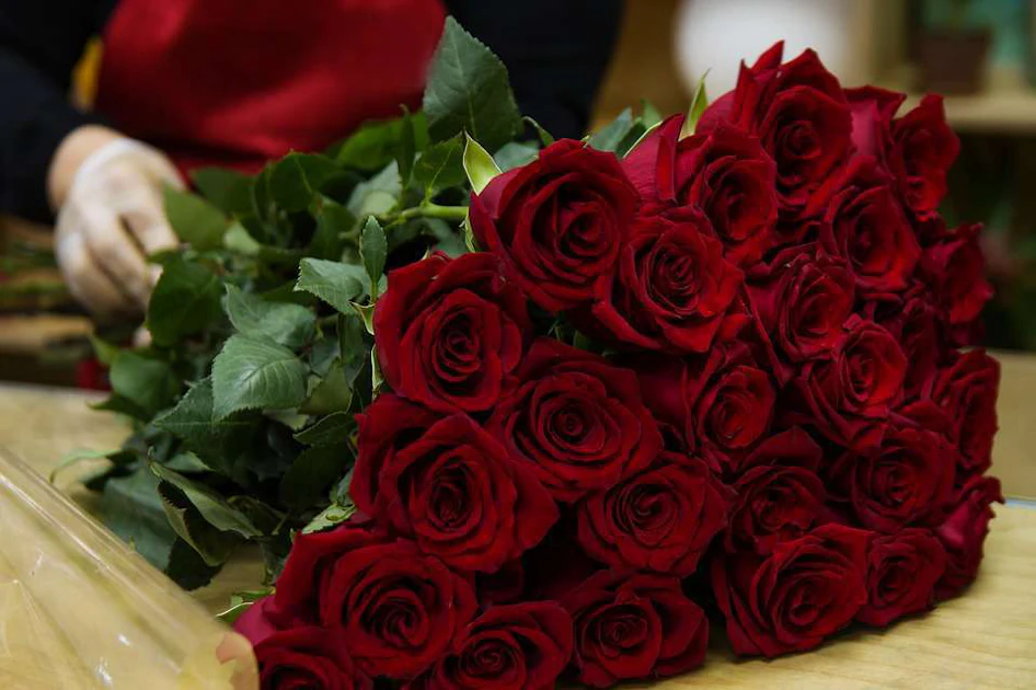 Red Roses Vail Why red roses are synonymous with Valentine's Day | Total Landscape Care