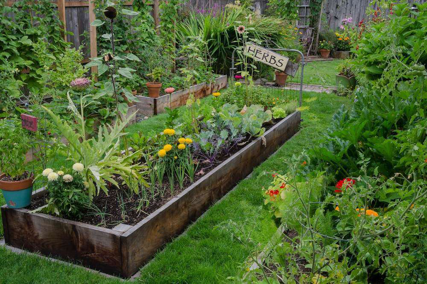 How To Create An Herb Garden In You Own Backyard Total Landscape Care