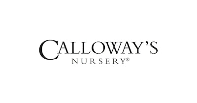calloway nursery