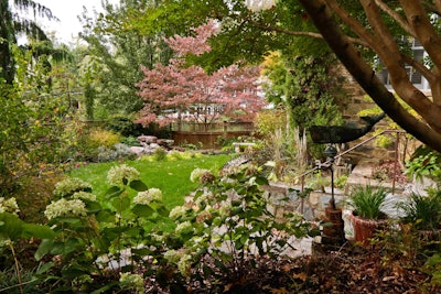 Edamarie Mattei’s company Backyard Bounty specializes in designing and installing gardens and is an organic land care provider. Photo: Backyard Bounty