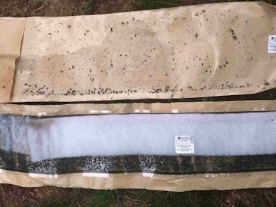 This photo compares the effectiveness of traditional sticky bands (top) and the BugBarrier Tree Band (bottom). Photo: BugBarrier