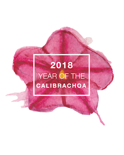 Photo: National Garden Bureau