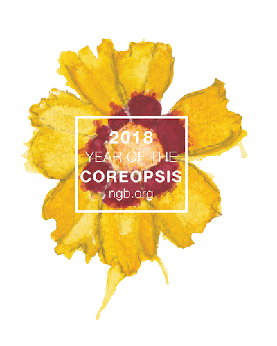 Photo: National Garden Bureau