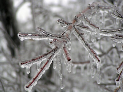 Photo: Wikipedia