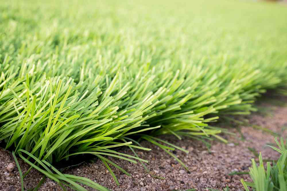 artificial-turf-outdoors