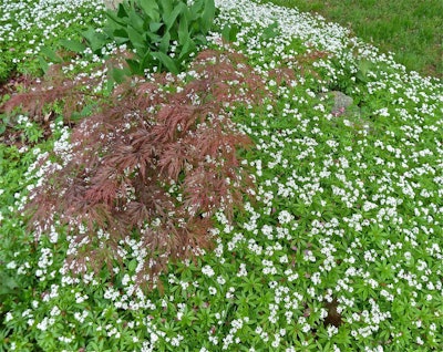 Photo: Deb Nystrom/Flickr