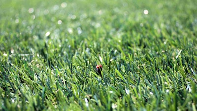 Photo: Yair Aronshtam/Flickr