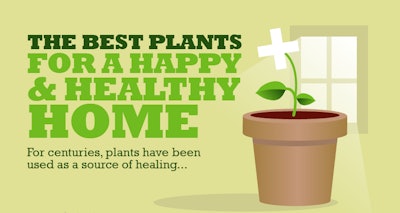 BestPlantsHealthyHappyHome-infographic-crop