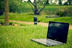 eco-grass-laptop-3129