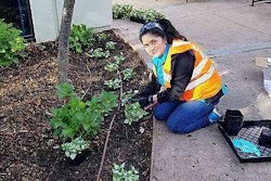 Gachina-Earth-Day-project