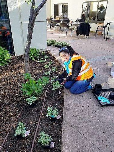 Photo: Gachina Landscape Management