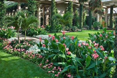 Longwood Gardens strives to elevate the art of horticulture by spotlighting unusual but also ordinary plants. Photo: Longwood Gardens