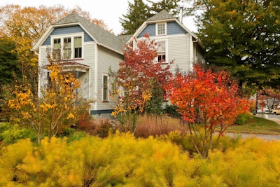 Photo: Backyard Bounty