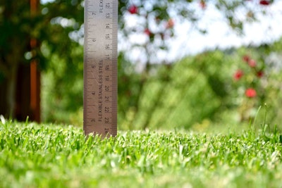 Photo: Grass Seed USA