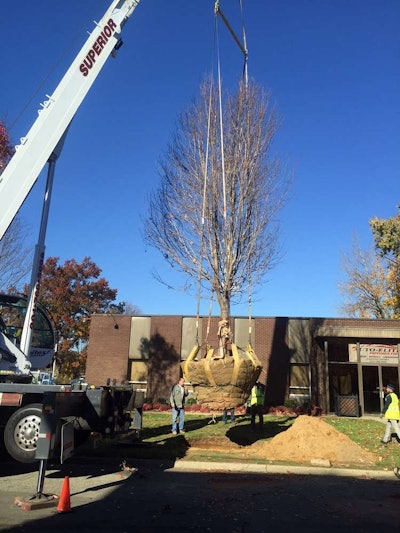 A simple tree work photo like this can send the wrong message to insurance carriers.